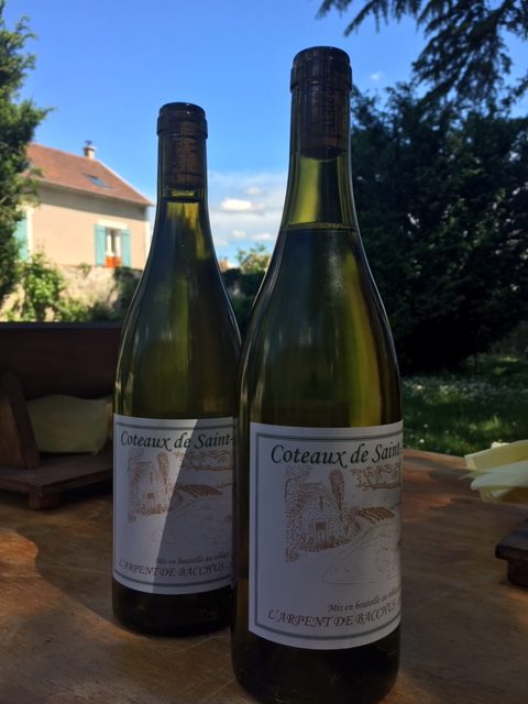 2020 05 Bouteilles St Sanctin rotated