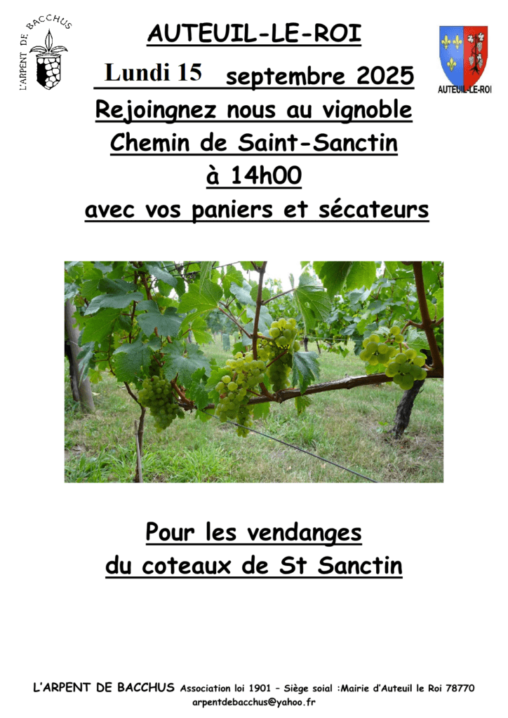 Aff vendanges A4 2025 report