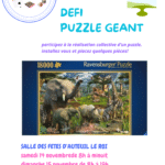puzzle géant 2026
